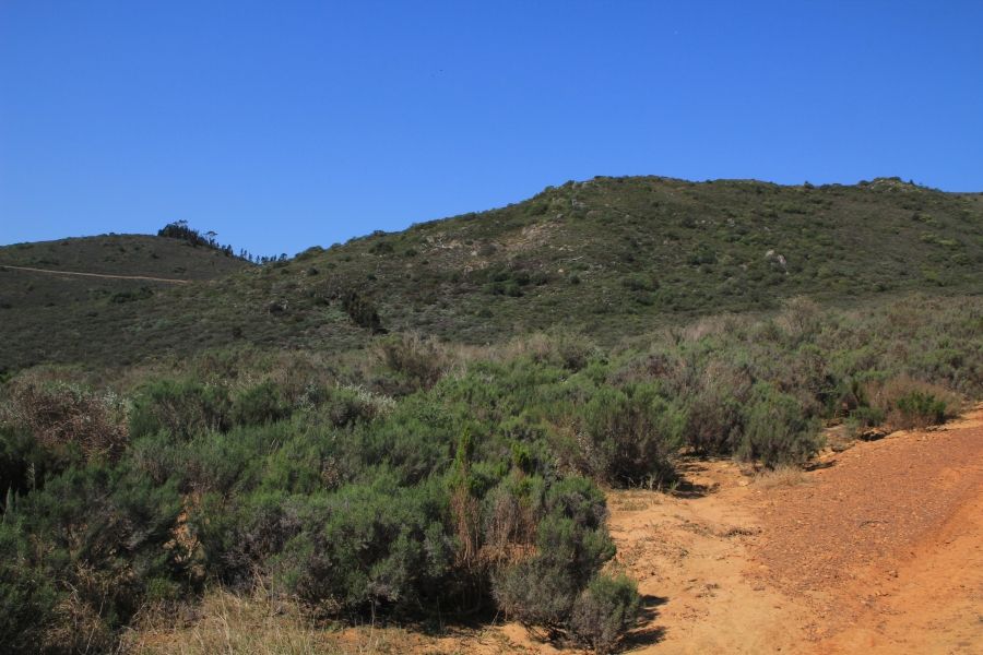 5 Bedroom Property for Sale in Stellenbosch Farms Western Cape